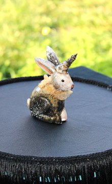 tiny-bunny