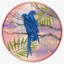 Blue-Macaws-1