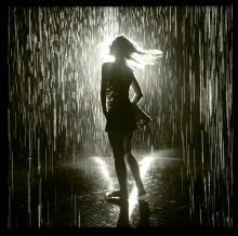 Susan-Kaufer-Carey-Rain-room