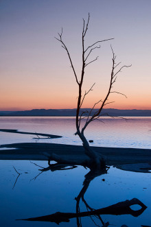 Denise-Taylor-Sunset-Silhouette-Salton-Sea-California