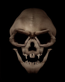 1_Ari-Loeb-Skull