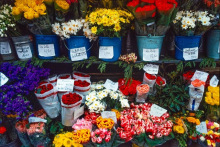 Marc-Karzen-Paris-6e-1977