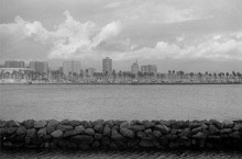 Daniel-Katz-Marinascape