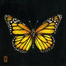 Lisa.Svingos_Monarch-Butterfly