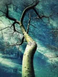 Jeff_Alu-Fractal_Tree