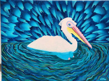 The-pelican