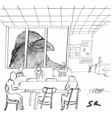 Steven_Rothblatt_drawing_Curious_Raven_lower_res_for_hive_online_gallery_2024-